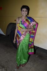 at Neerusha fashion show in Mumbai on 19th Jan 2013(122).JPG